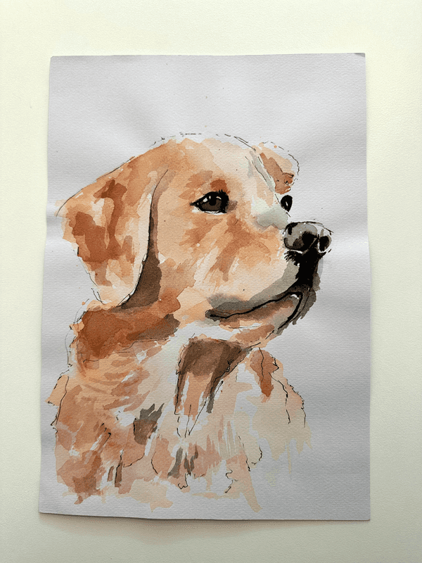 Paint Your Pet