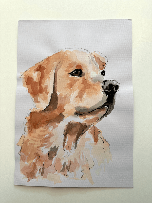 Paint your Pet
