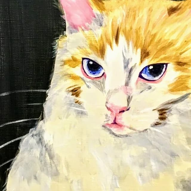 Paint my pet/u