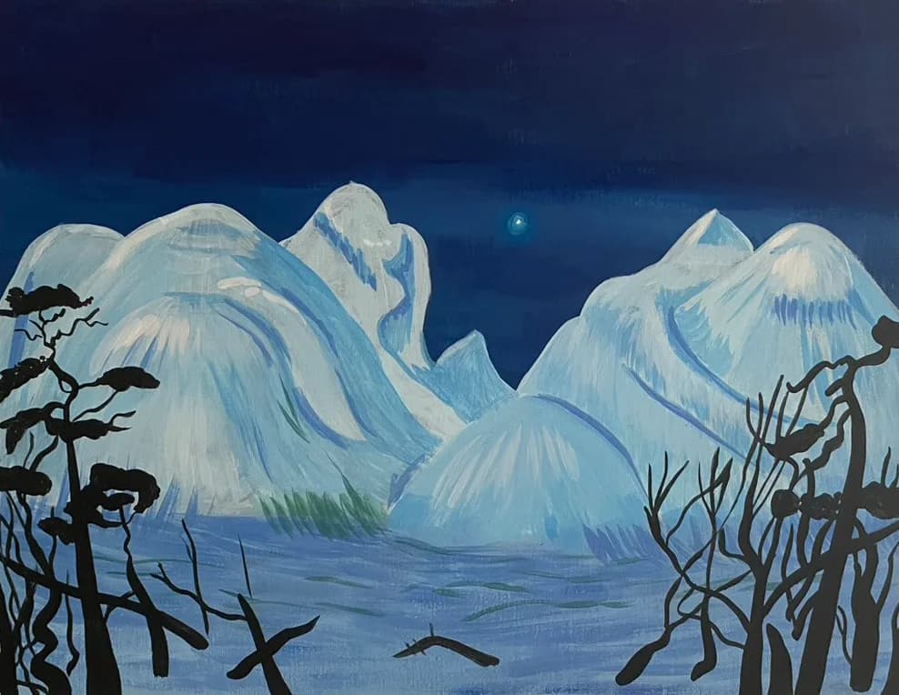 Norway - winter night /n
