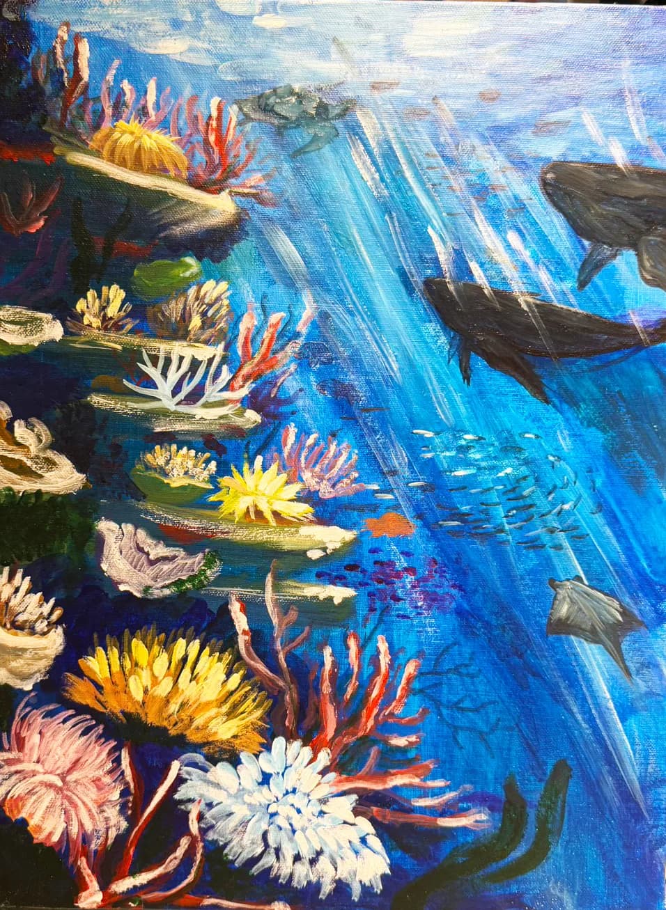 Coral reef sea /u